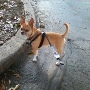 Meet your Posher, Robert